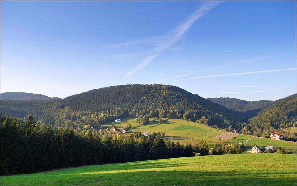 Miodowe Zacisze Feriehus